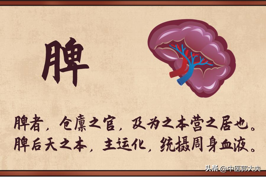 脾虚肾虚五脏俱虚一个动作解决,肾虚脾虚五脏都虚