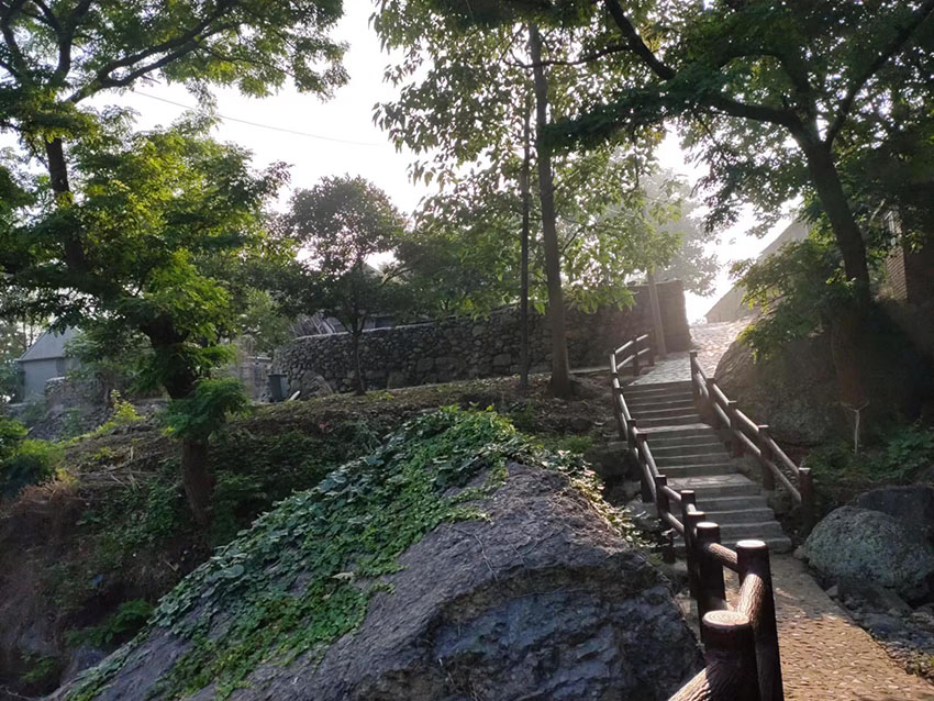 夏游山全部视频,夏天去灵山岛好吗