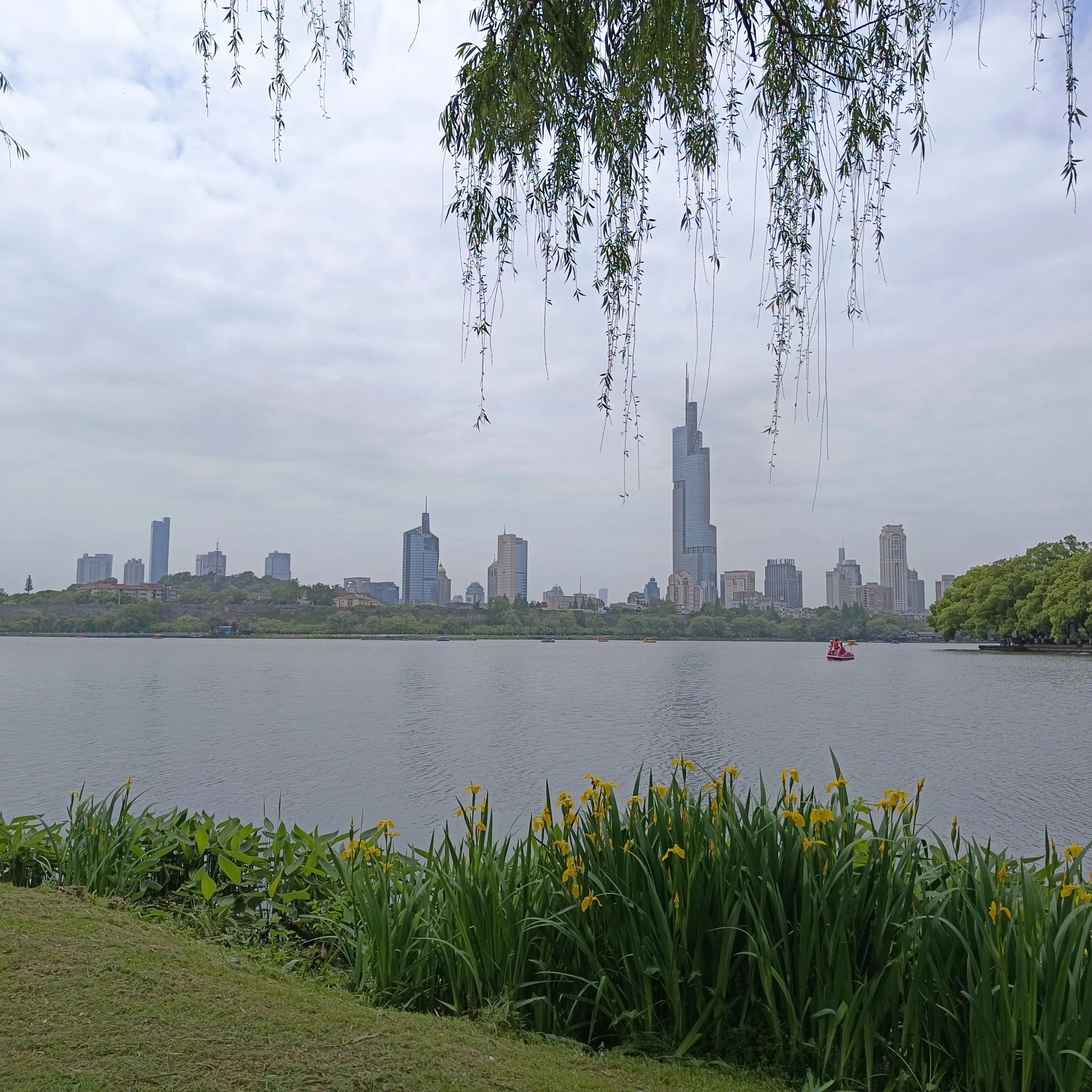 读书分享会发言稿,读书分享会分享一本好书