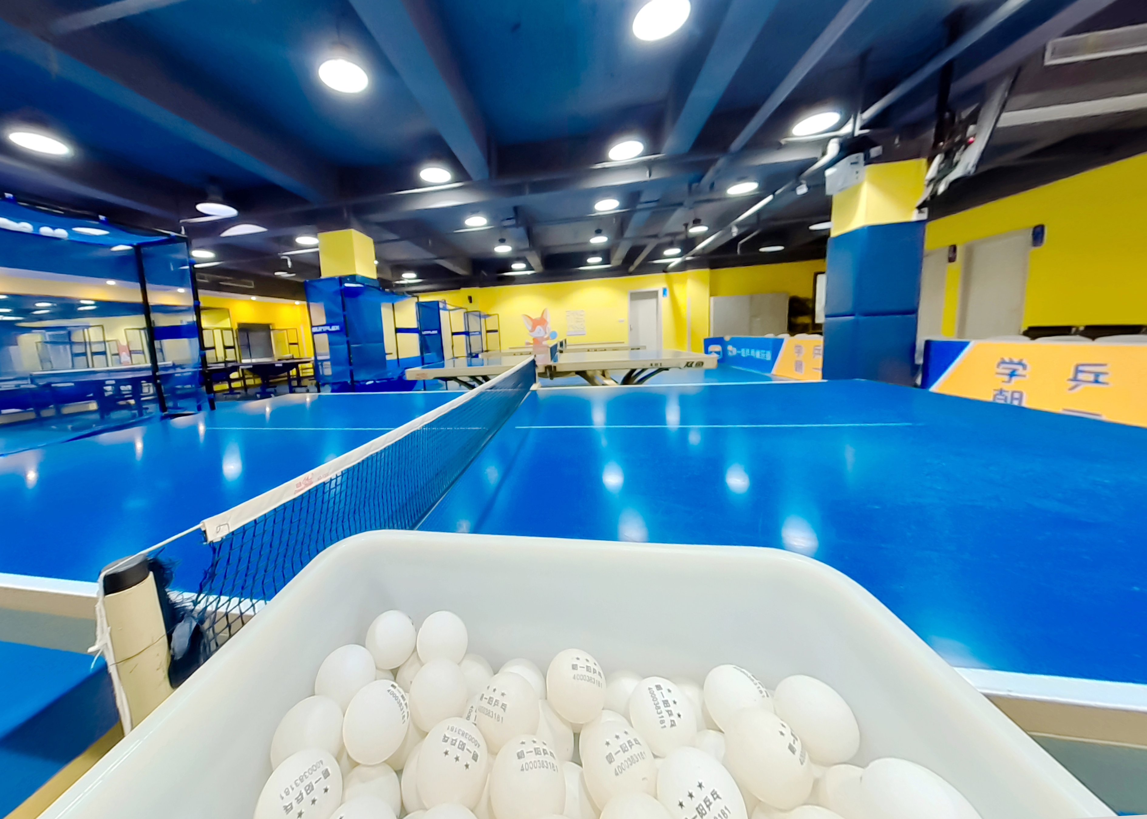 乒乓球丹羽孝希发球技巧教学,乒乓球发球手指手腕的用力技巧