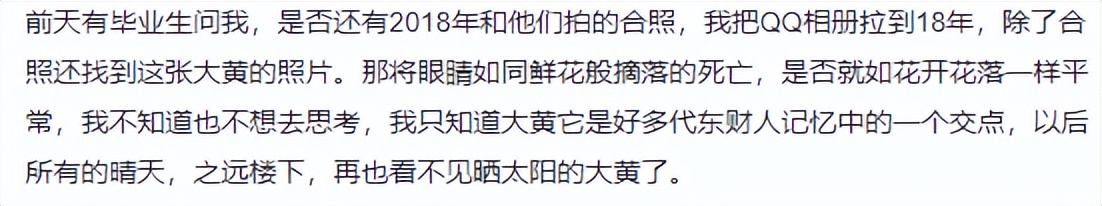 东北财经大学发讣告,东北财经大学为猫发讣告