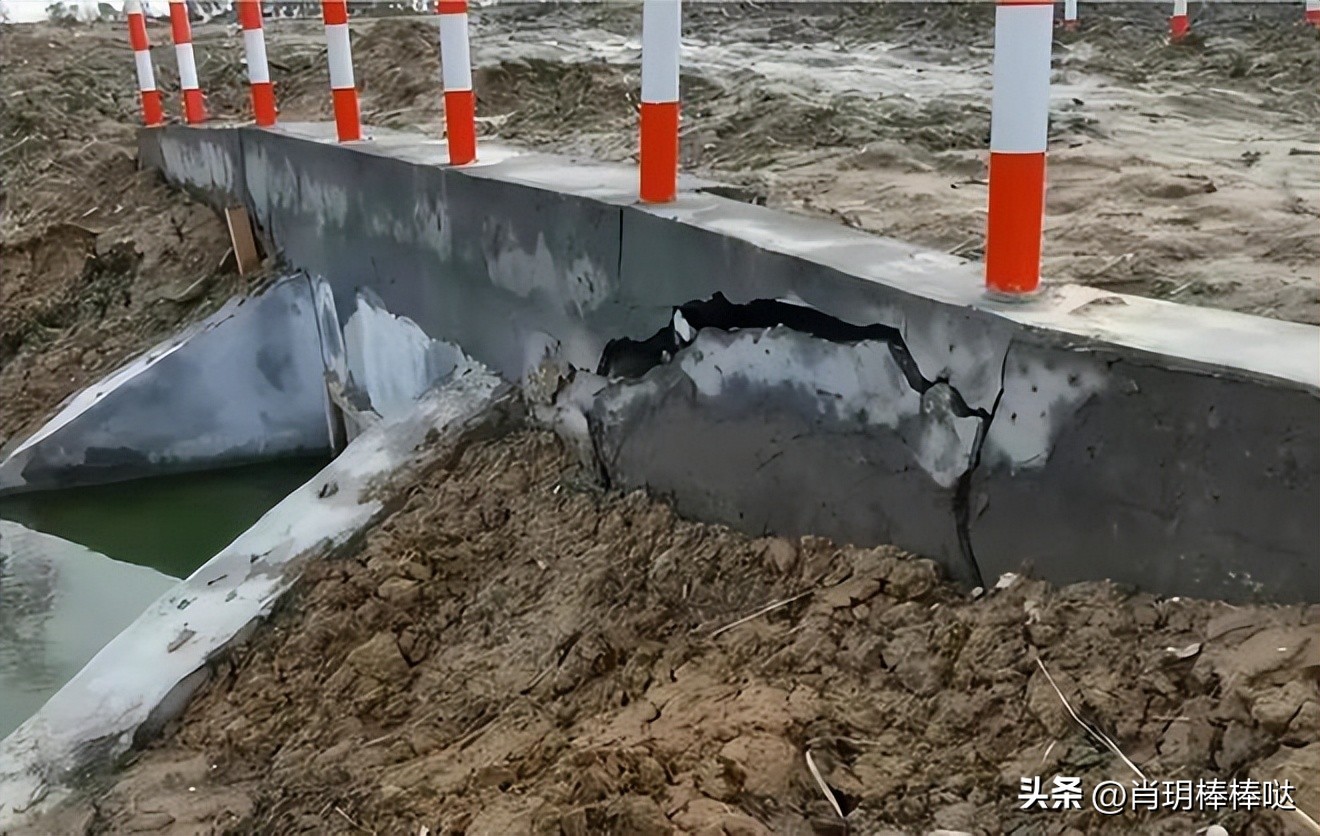 农田不是某人的暴富梦，应为农民的“致富经”！