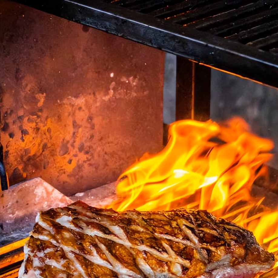 瀹忓厓鑴嗙毊鐏儳鍥剧墖,瀹忓厓鐏儳