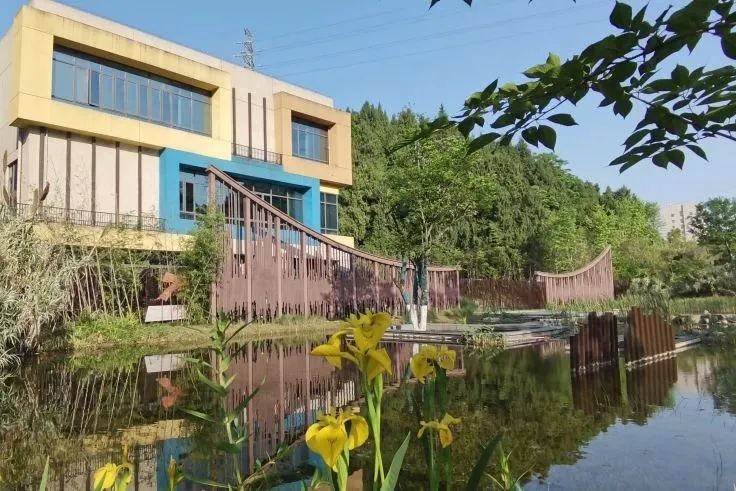 宜昌高新区有哪几个公立幼儿园,宜昌市最大的公立幼儿园