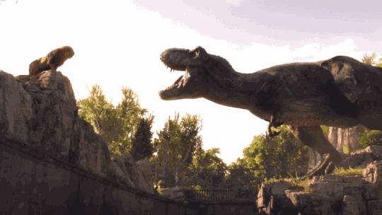 所有动物都会进化,所有的动物都进化吗