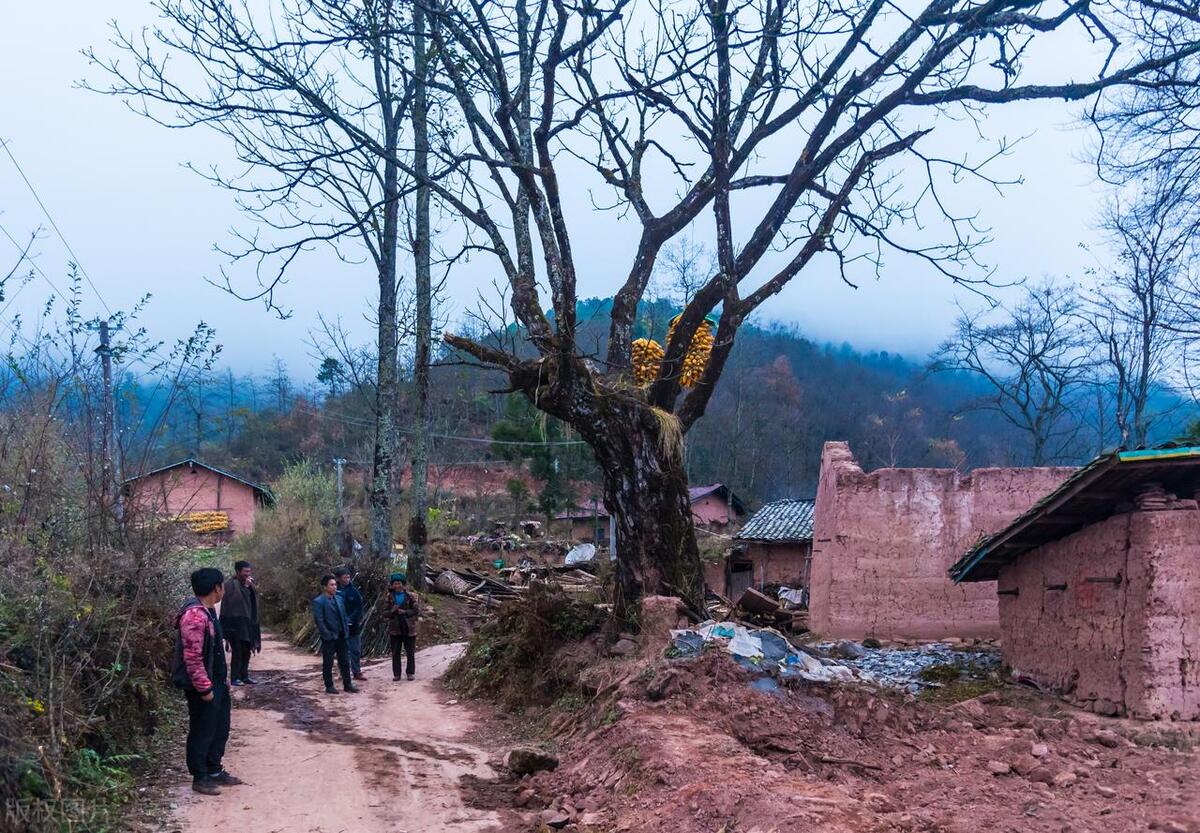 宁廷茂|时隔六七十年又联系上的东山套里的老亲戚