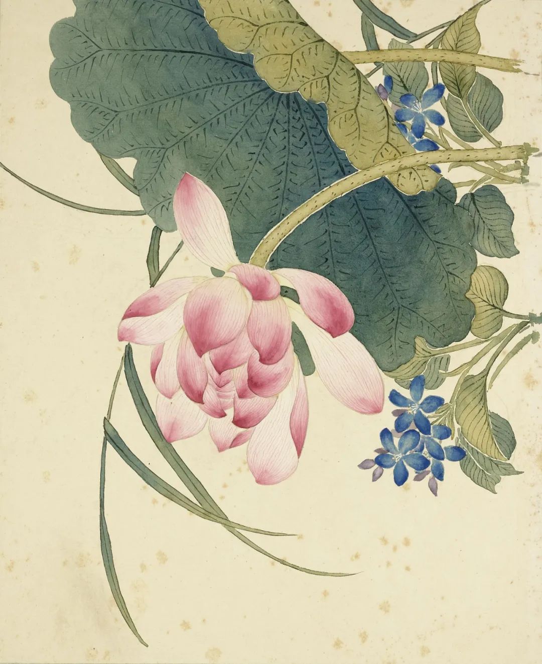 慕容看世界的视频,慕容看世界所有视频