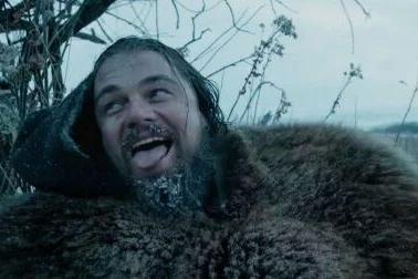 电影荒野猎人表达了什么,电影荒野猎人主要讲的什么