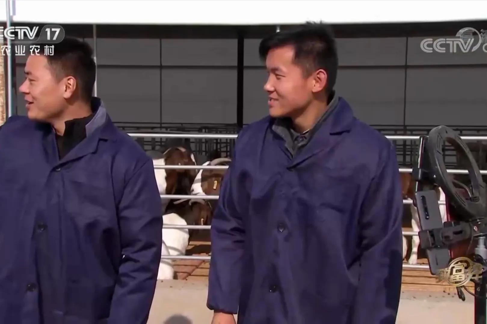 河南养100只羊一年能挣多少钱,河南养20只羊一年收入多少