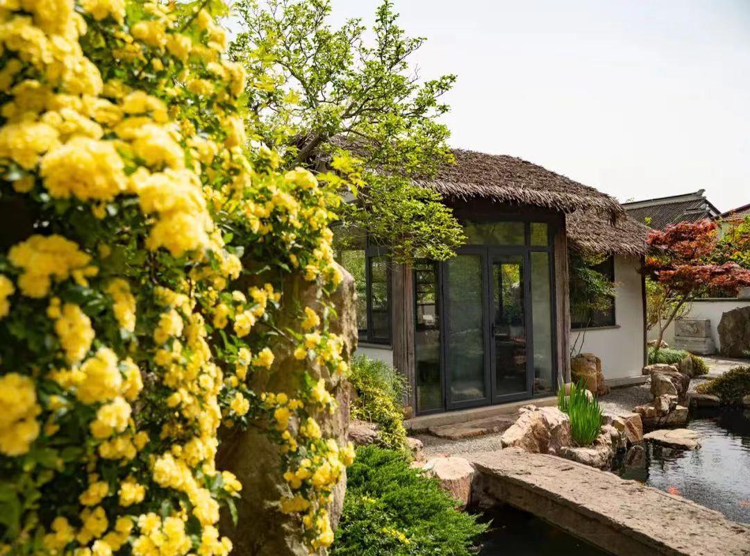 小楼周刊（341）：2023年第十九期