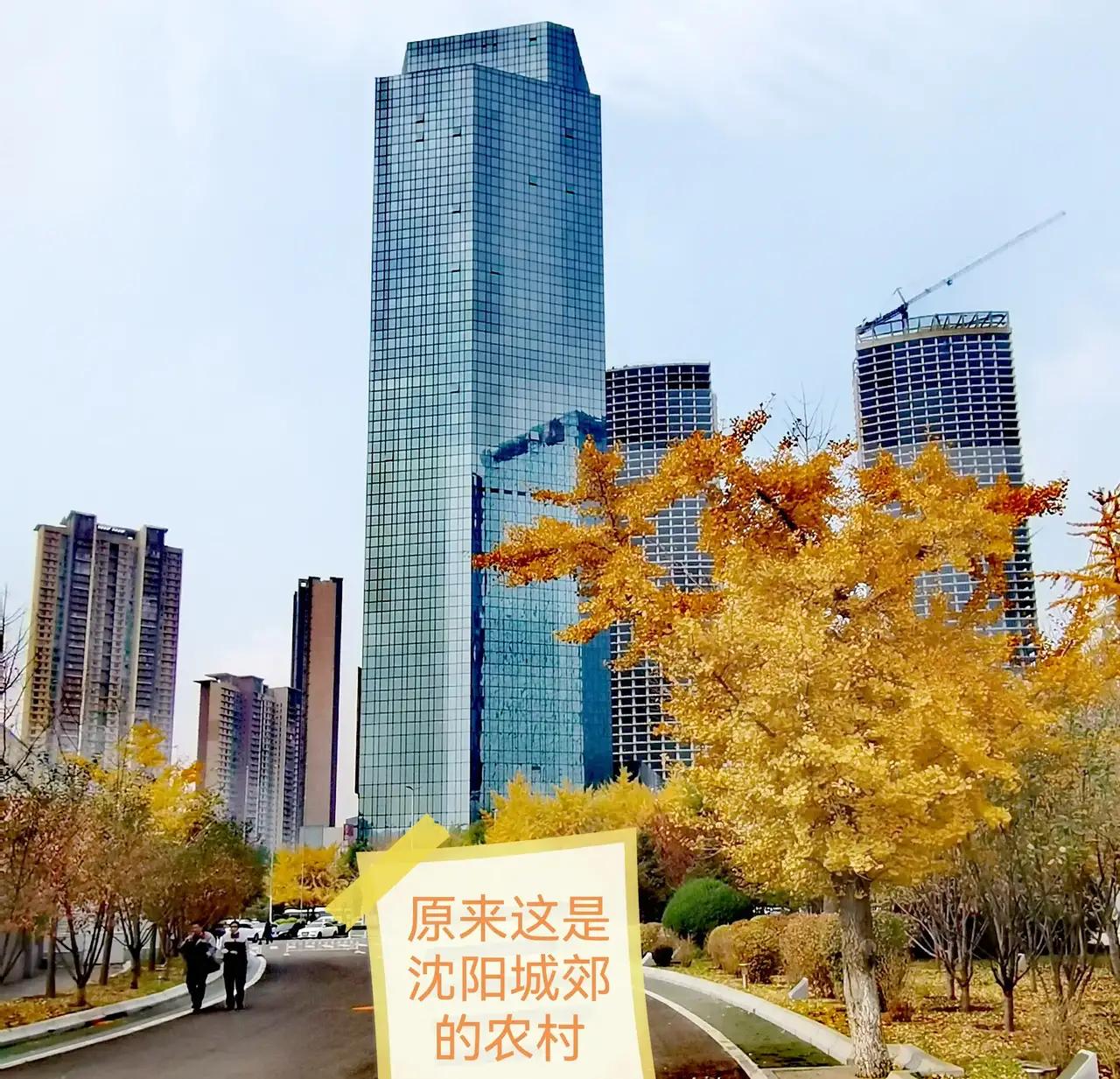 当兵去陆军集团军咋样,陆军总院当兵体检