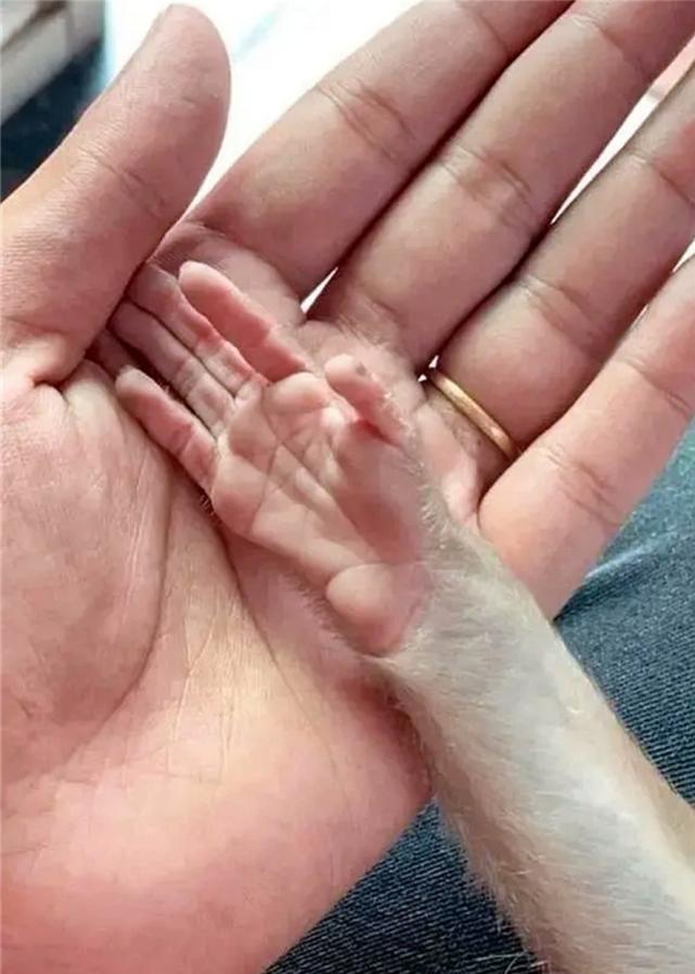 38张罕见的对比照片让人大开眼界,30张对比图片看到最后一张惊呆了