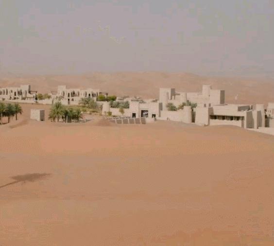 世界最奢侈的宠物狗,迪拜土豪的宠物鹰猎