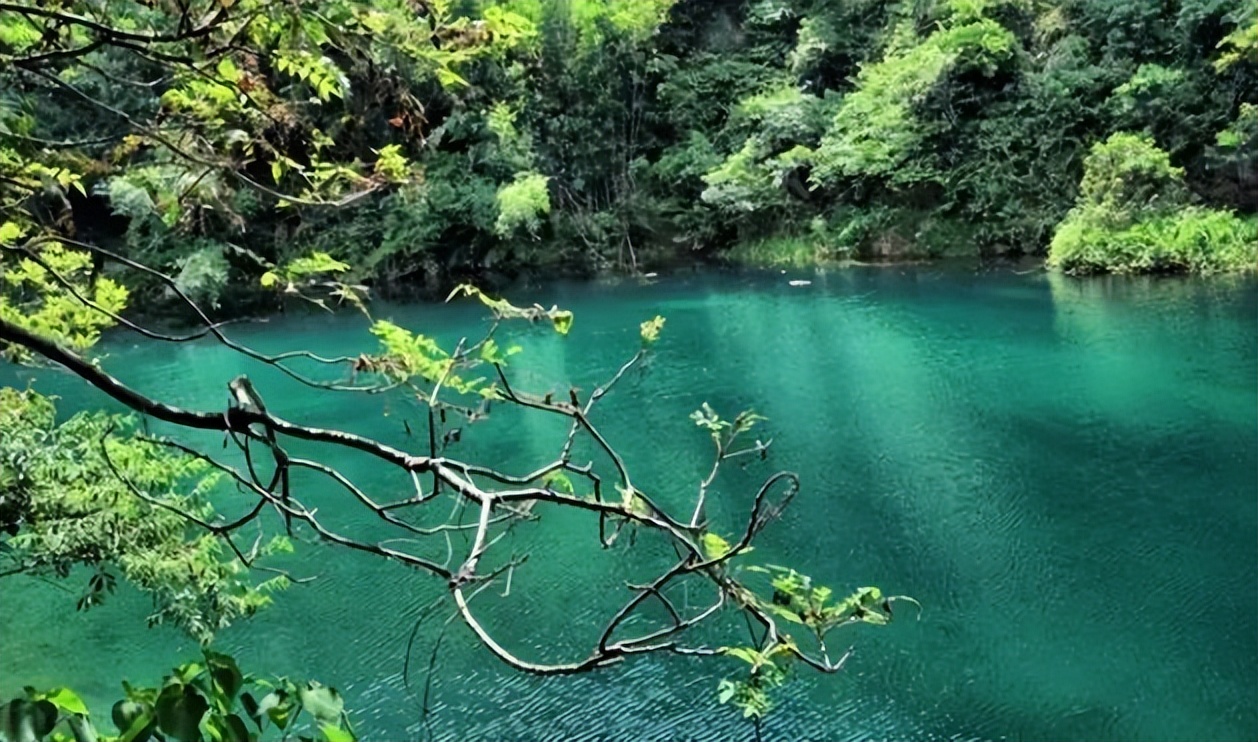 广东肇庆七星岩景区一日游,肇庆紫云谷一日游