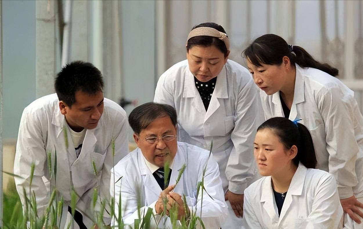 河南一学院计划升级为大学，申请博士点，网友：取校名还是个问题