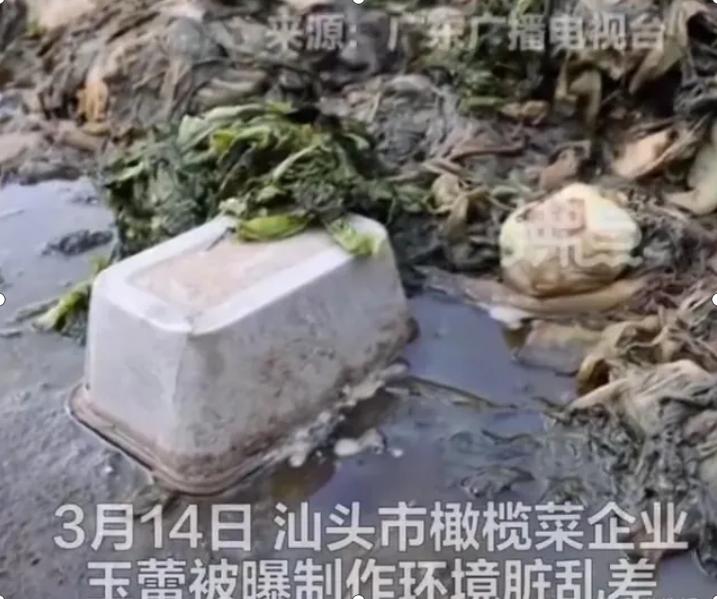 食品安全315橄榄菜,315食品曝光橄榄菜