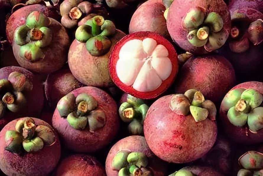 山竹的热量,山竹知识知多少