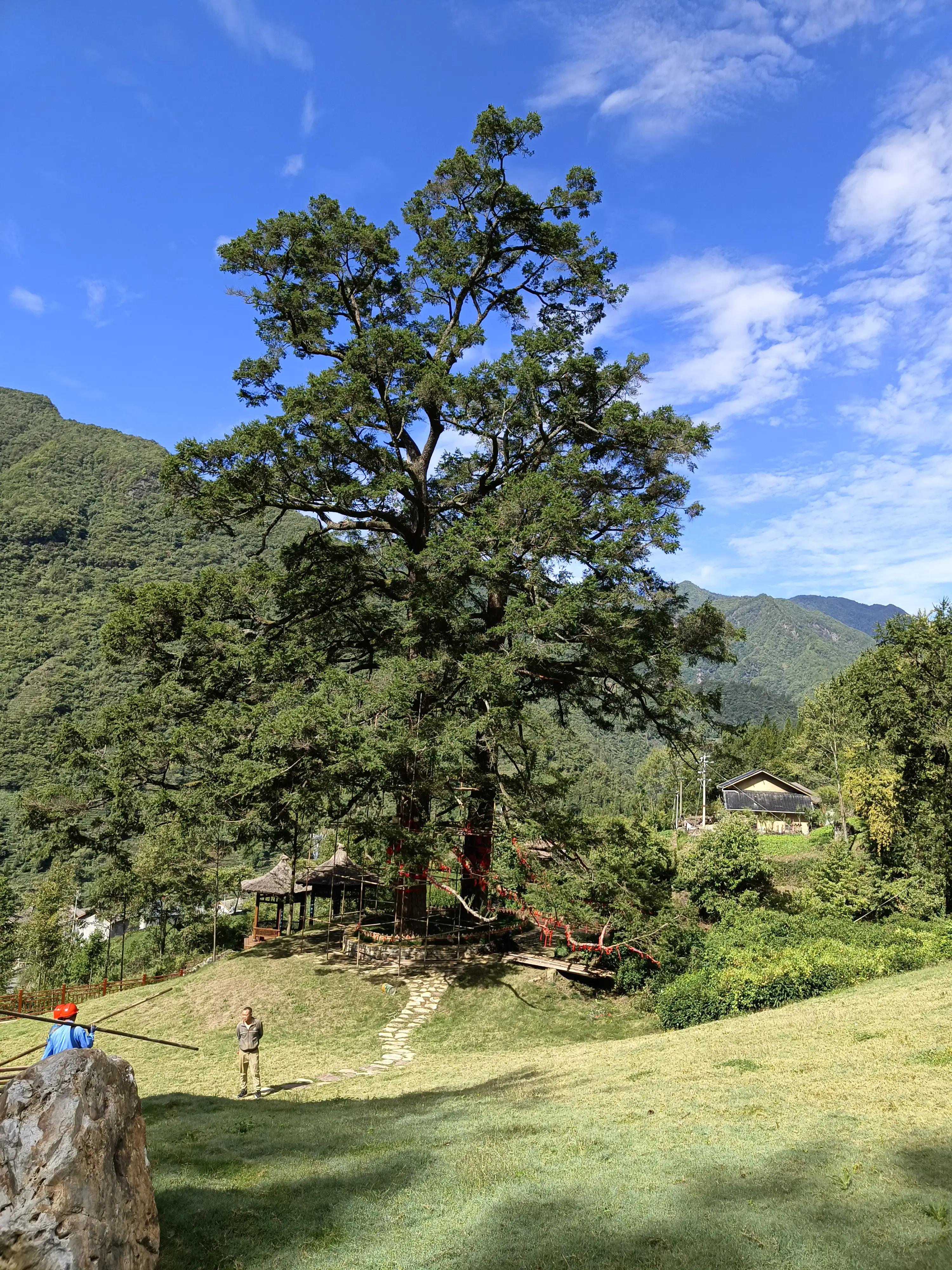 神农架上的民宿,神农架风景民宿推荐