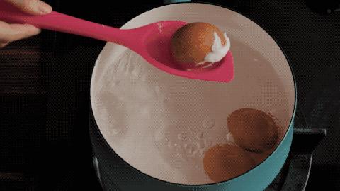 鸡蛋最新的营养价值,专家讲鸡蛋的营养价值