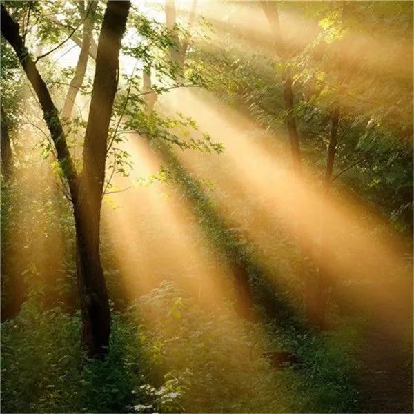 朱华贤：钢笔哪儿去了？