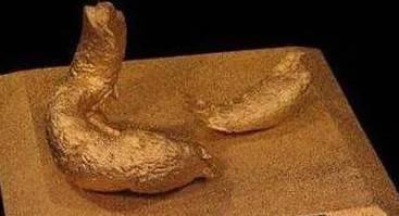 鍥藉榛戞殫缇庨鏂欑悊,鍥藉10閬撲护浜哄穿婧冪殑榛戞殫鏂欑悊