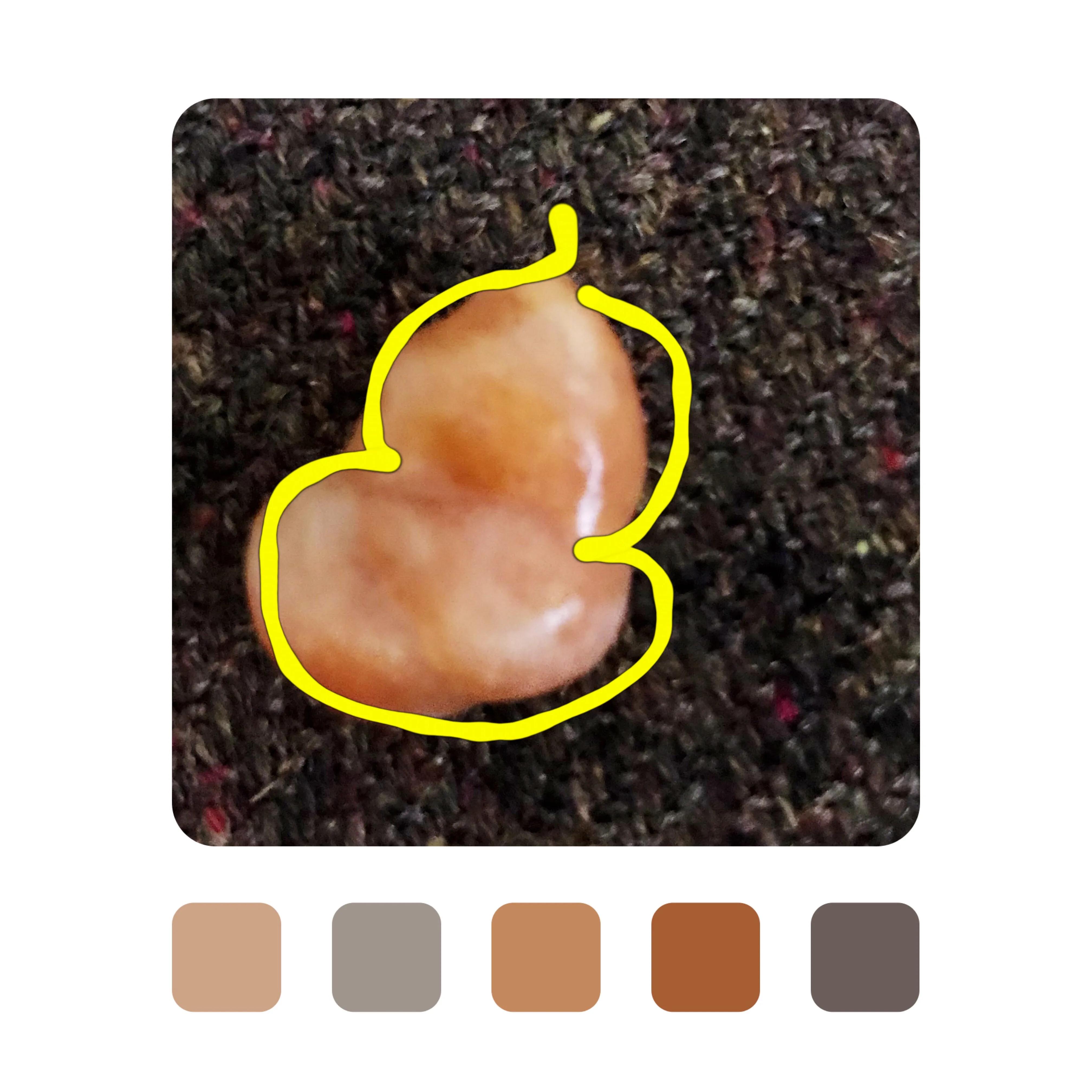 阿拉善戈壁石鸡油黄玛瑙,内蒙古阿拉善戈壁玛瑙石