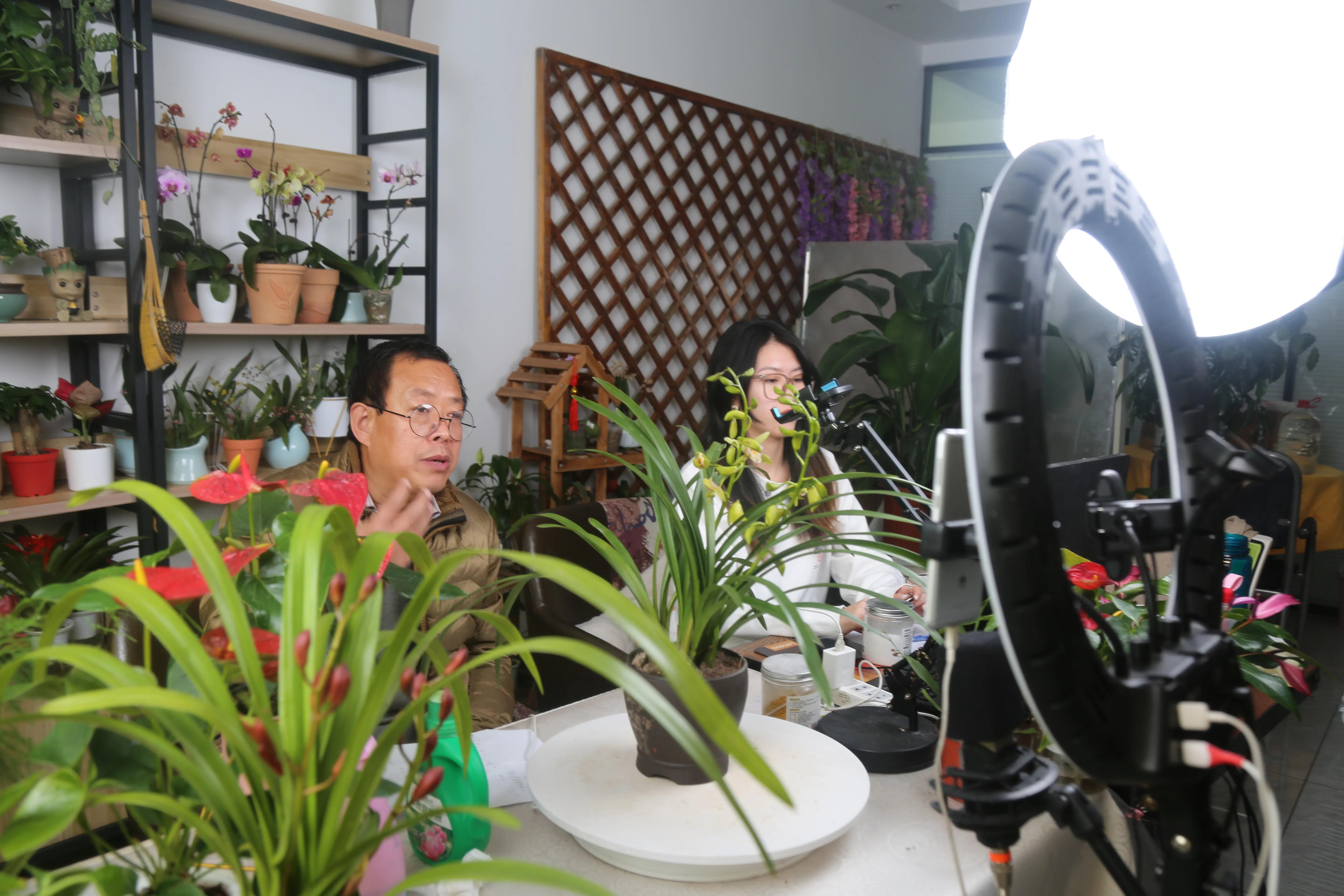 山西省最大的花卉市场在哪里,山西最大的花卉批发市场联系电话