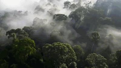 国内七月旅行最值得去的避暑胜地,7月份实惠的避暑地方国内