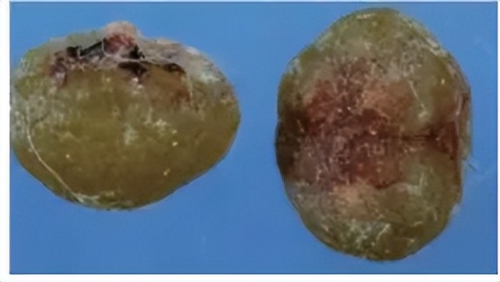 couldn'tconnecttohost