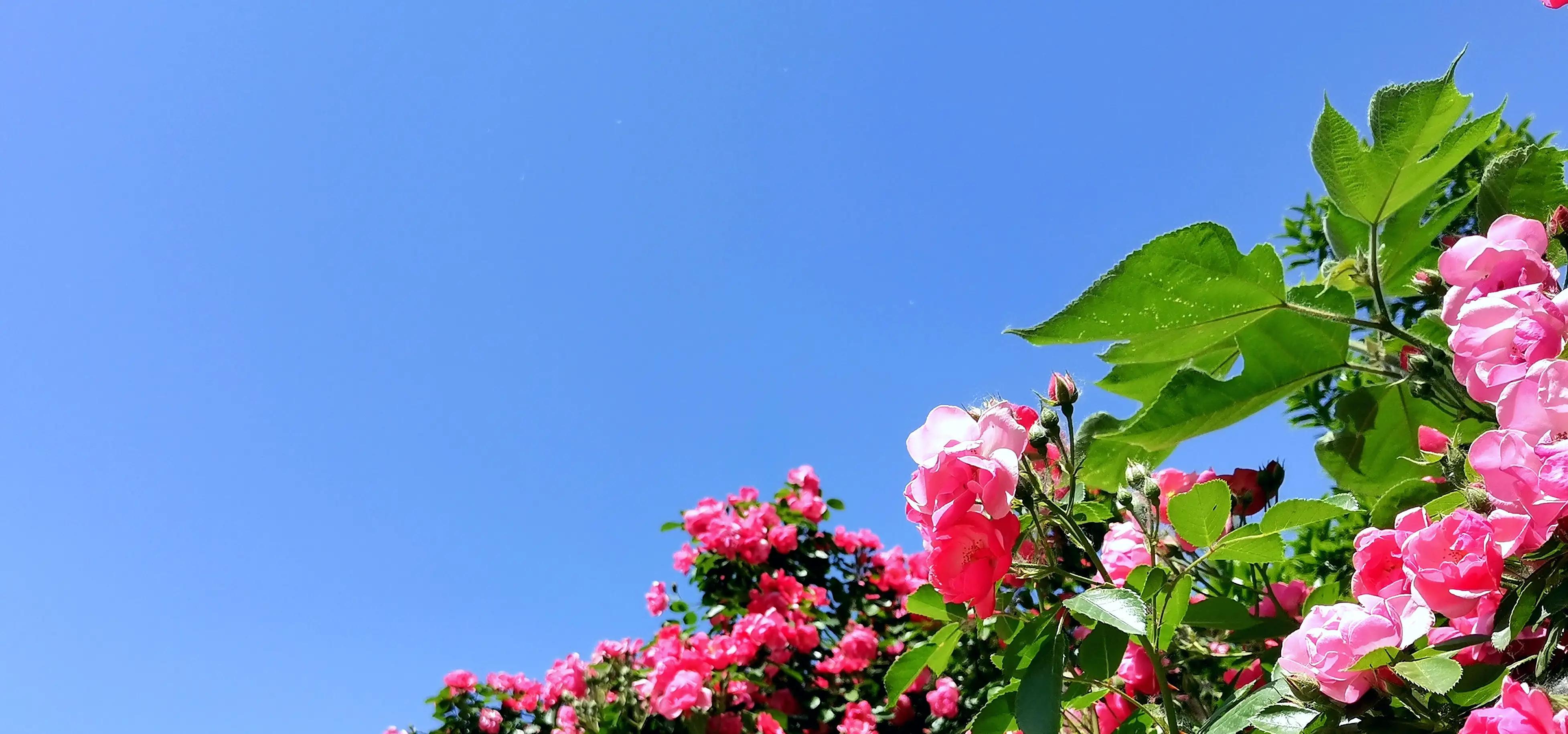 局部麻药膏效果怎么样,局部麻木软膏