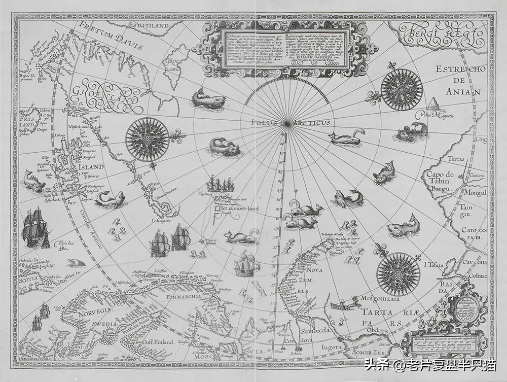 哥斯拉20个泰坦解析,哥斯拉2泰坦巨兽彩蛋