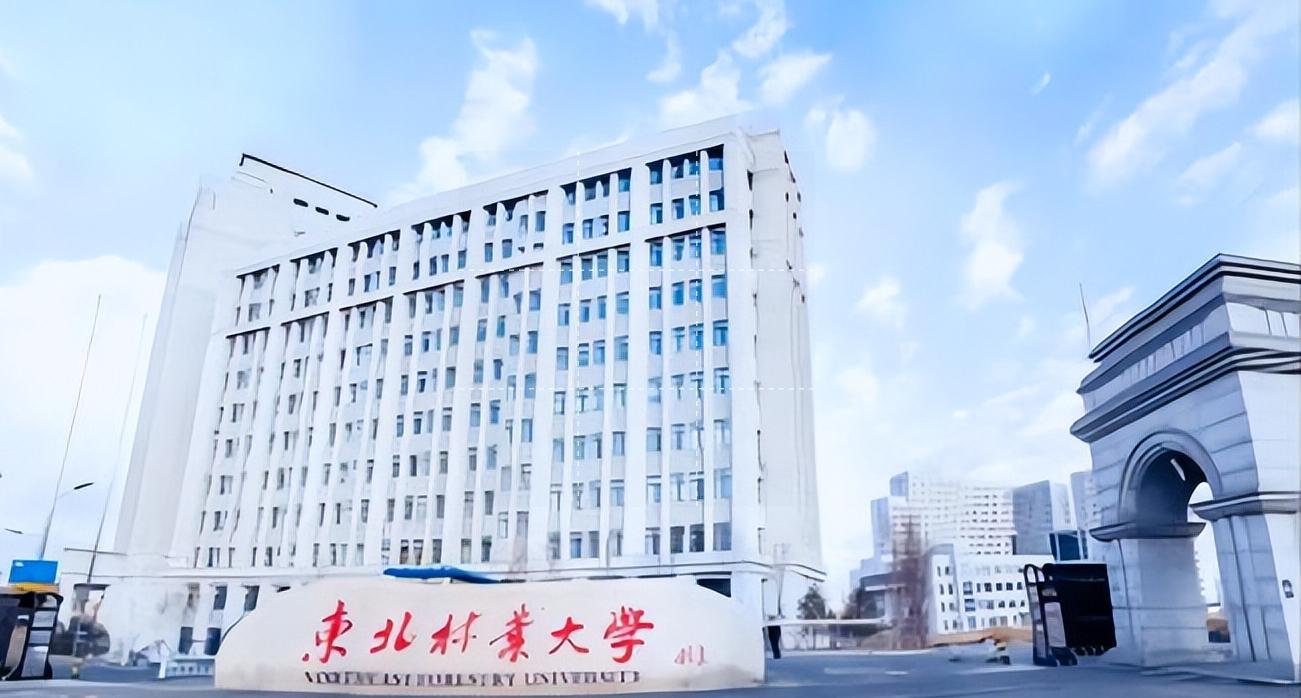 院校深度解读,院校解读