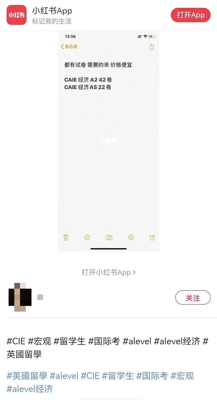 现实版天才枪手,天才枪手价值五百万