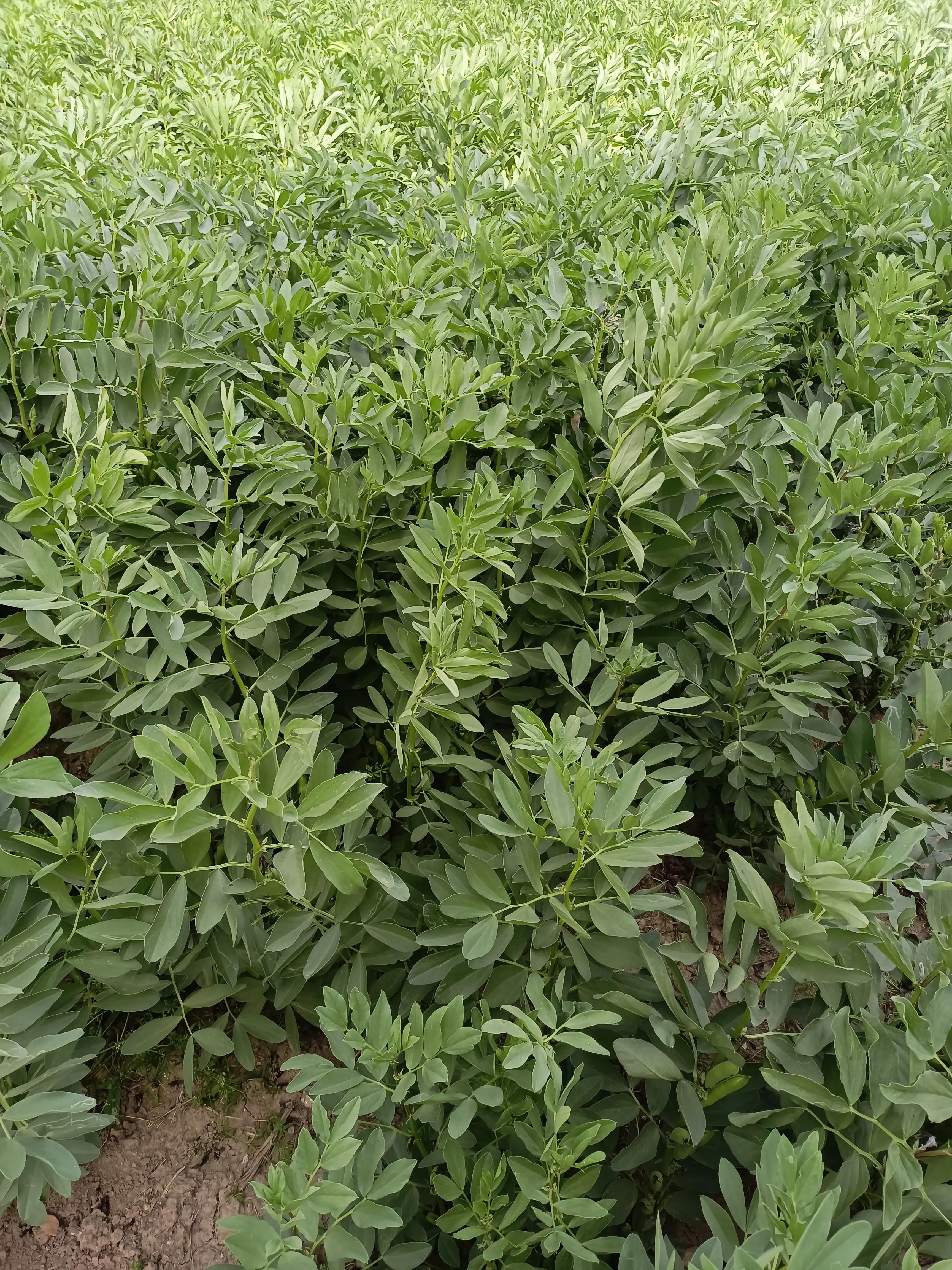 江西省直机关工委足球联赛,省直机关足球比赛