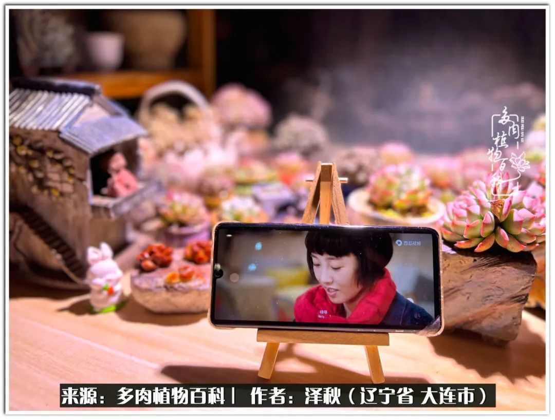 四季轮回之秋天,四季轮回之冬季