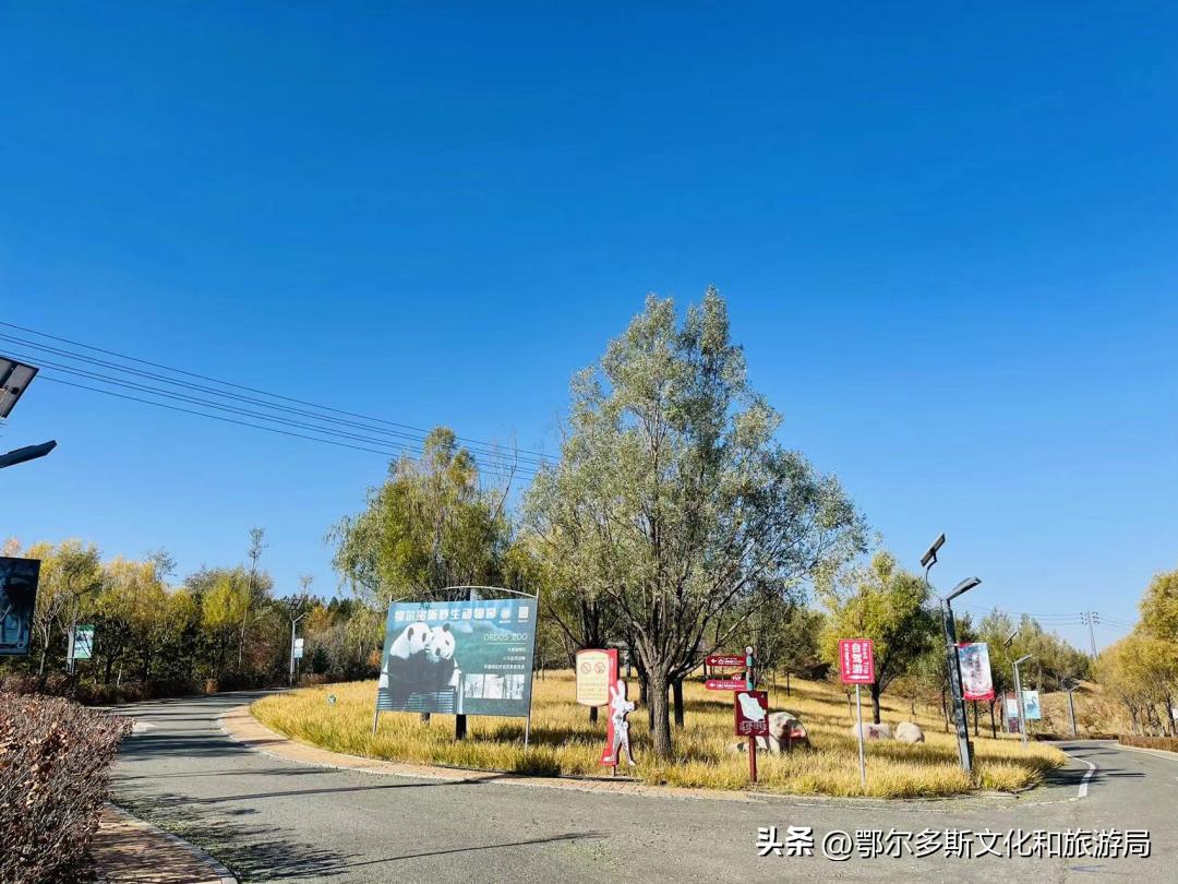 鄂尔多斯野生动物园和海洋馆门票,鄂尔多斯野生动物园海洋馆