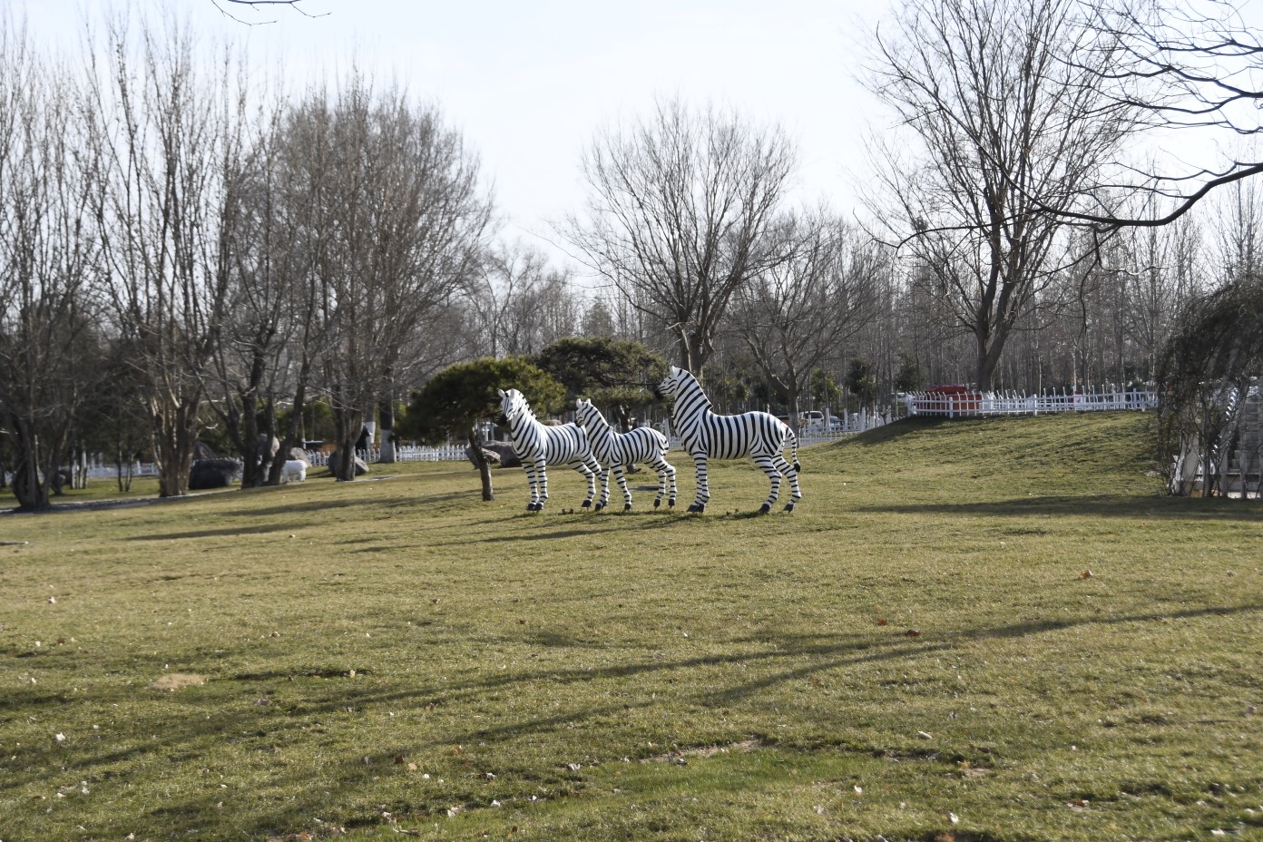 郑州市区内爬山一日游推荐,郑州市春季旅游攻略图