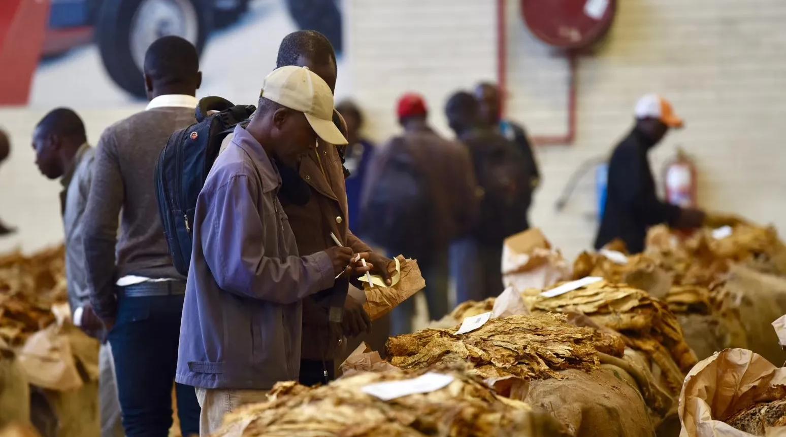 10元烟和20元烟哪个害处大,抽几块钱的烟和15块的烟有区别吗