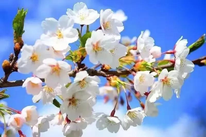 北京房山最美城区,北京的大美房山区