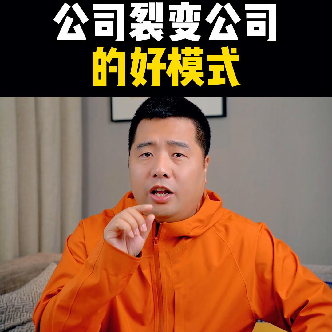 公司裂变盈利模式,裂变模式公司