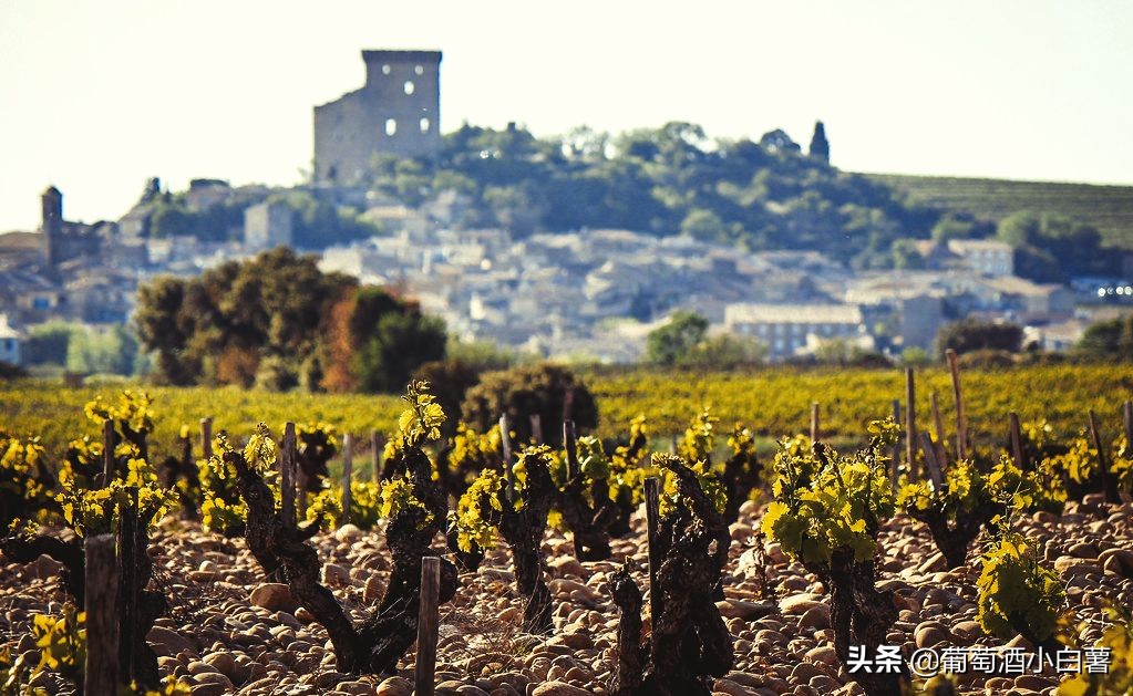 法国红酒leschastes价格,法国红酒maison价格