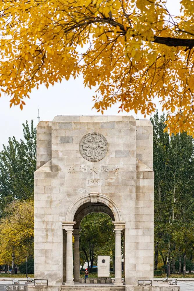 天津大学333,天津大学专科433分的学校