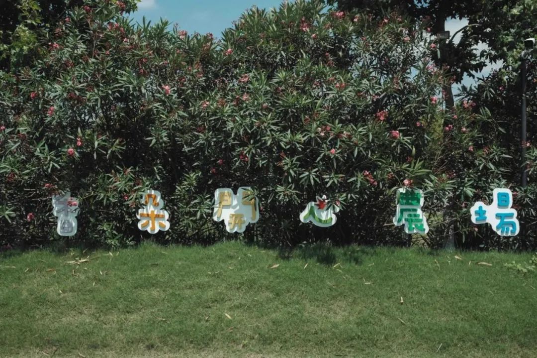 农场果园10大盈利模式,开心农场种蔬菜赚钱技巧