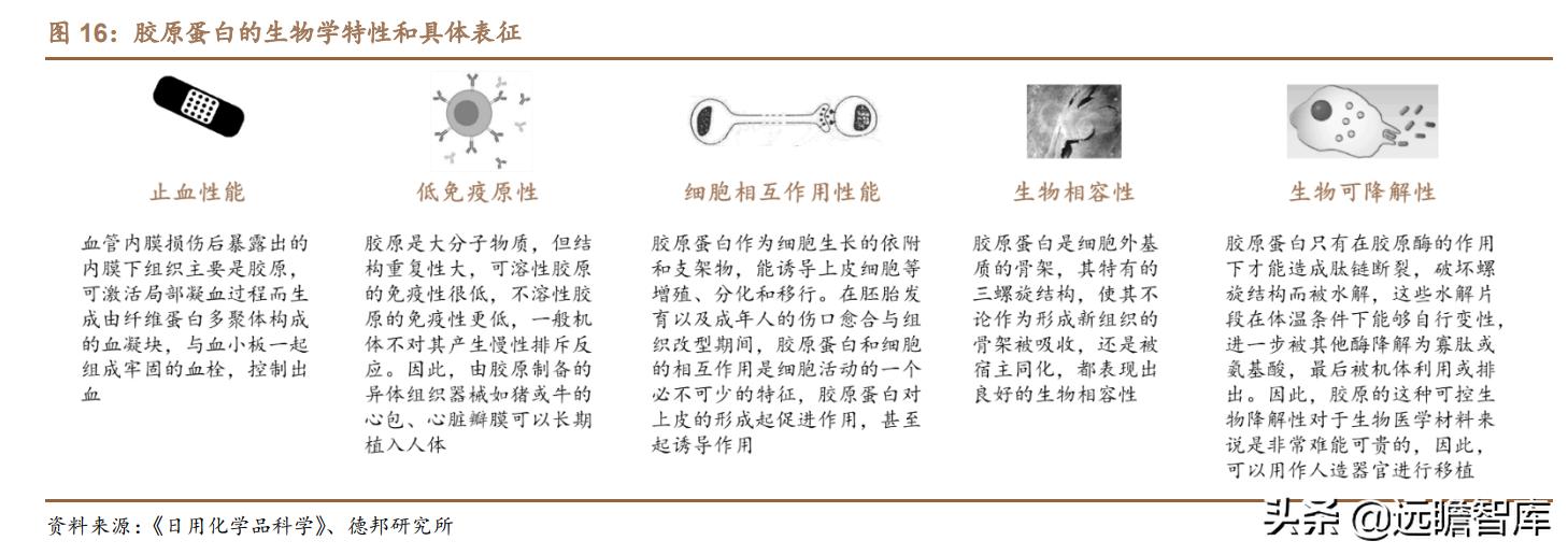 胶原巨子生物,巨子生物胶原蛋白更小分子量