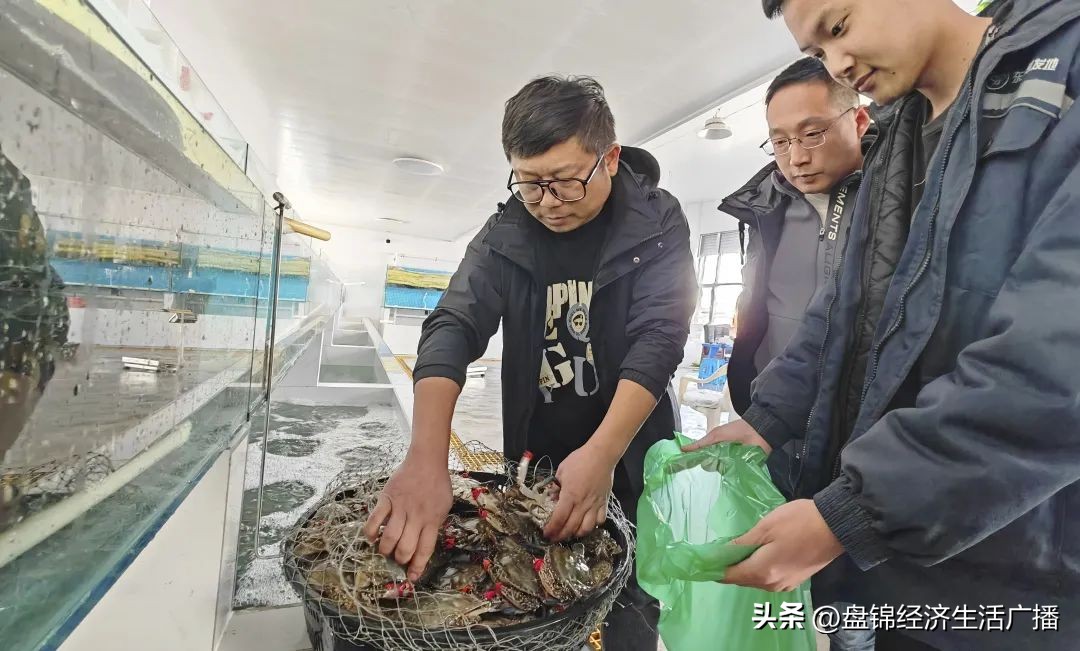 新发地水产批发大厅营业时间,新发地批发市场开业了吗