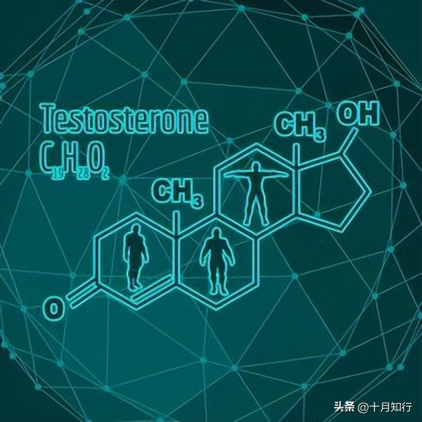 睾酮素低为什么要促睾,促睾酮对身体有什么影响