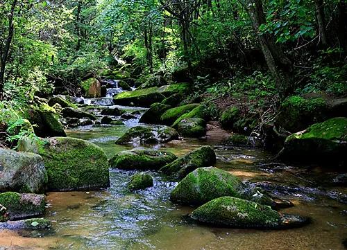 宁国万家供水,宁国万家水库