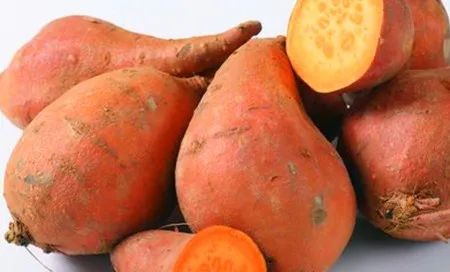 梅花香自苦寒来人生感悟,梅花香自苦寒来的上一句是什么