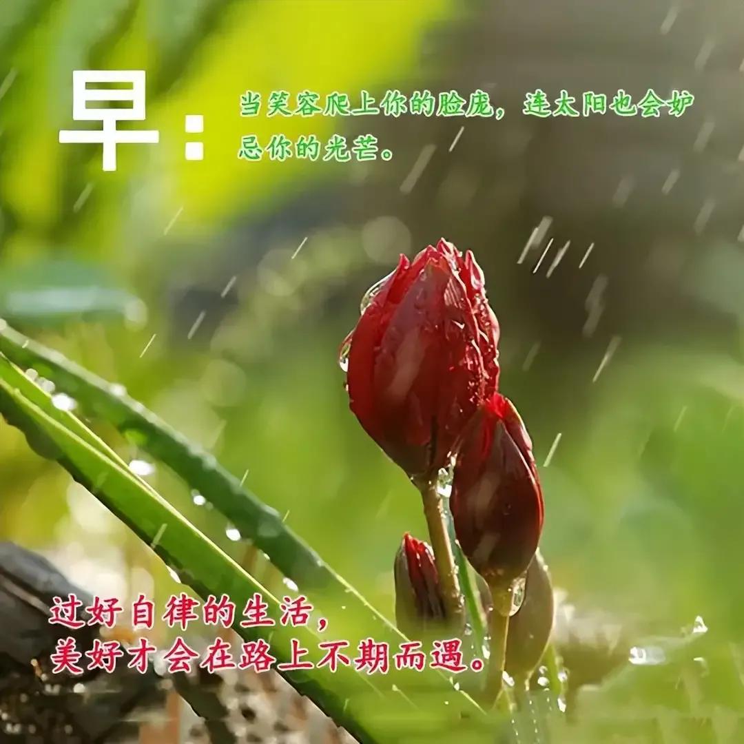 庚子日柱2023年癸卯年运势,癸卯年2023年哪个月出生最好