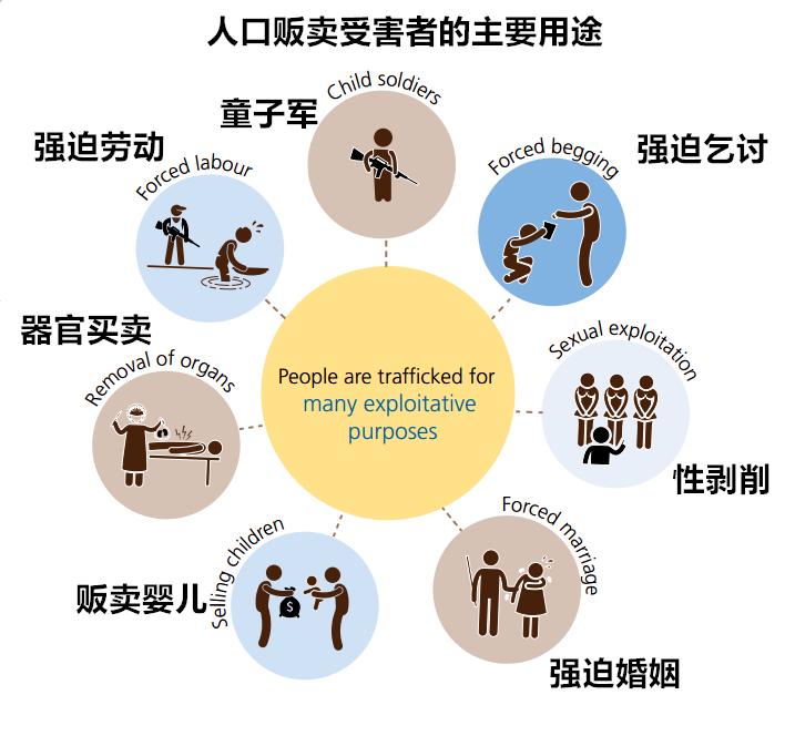 全球人口贩卖中，女人、儿童、男人这些受害者的“用途”有哪些？